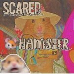 Scared hamster