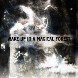 wake up in a magic forest