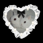 delicate bunny’