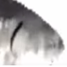 fish (remastered)