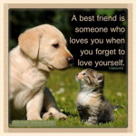 FRIENDSHIP ARMY!