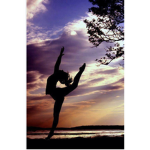 LEDZ DANCE GROUP