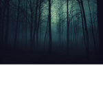 || The Wild Rp Ideas ||