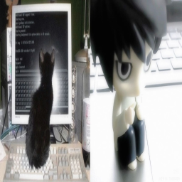 ﹕