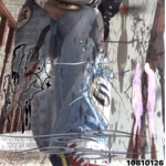4LYIF3RSS
