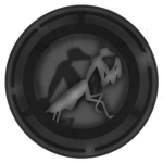 [MC] Foreign Relations Department