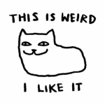 +* < yins > *+
