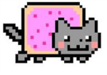 Nyan Cat Fans Forever