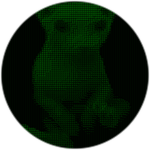 Code Bingus
