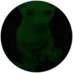 Code Bingus