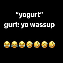 Gurt Obby