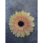 Loving Sunflowers