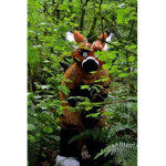 The Furry Fan Group