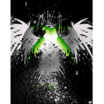 ##### birds