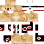 The Bois doge