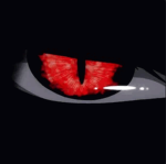 Maillot2Fou Group Thumbnail