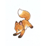 xXFoxyXx