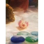 ~AxolotlLuvs~