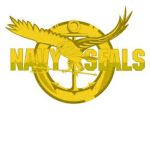 Navy SEALs (Team A)
