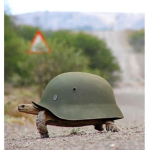the gamer turtles