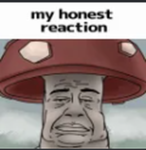foenem gang