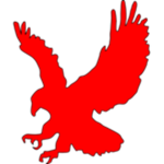 The Eagles™
