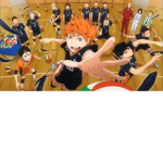 volleyball uniform