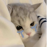 Kenzyyx1