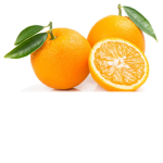 Mimifazea