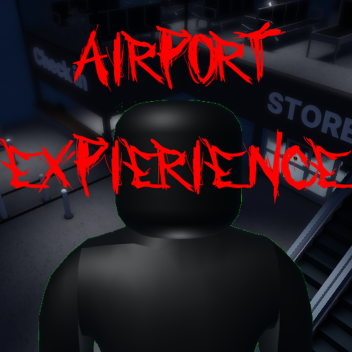 The Airport Experience