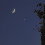 孤星
