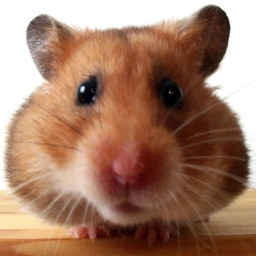 V1bes Hamster