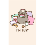 Team pusheen!!