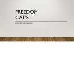 Freedom Cat's