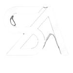 Swin Airlines