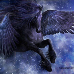 -_MoonRise Academy_-