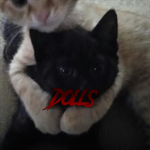$D0LLS