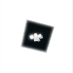 Wealthy Robloxian's Community
