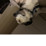 carterjelly77jake