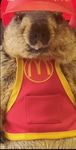 MC DöNALDS CORPORATION
