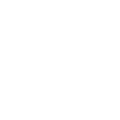 Conveyor Pad