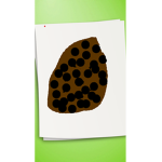 Push to get a cookie