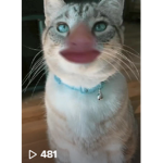 little kittyyyyyyyyyyyyyyyyyyyyyyyyyyy