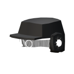 Agent