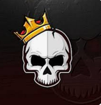 skull Gmer