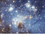 The star rats