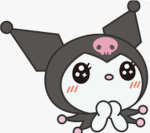 The kuromi fan club