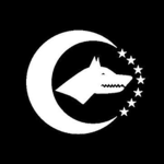 Türkistan Kağanlığı {TURAN}