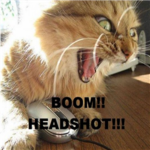 LOLCAT  Lovers