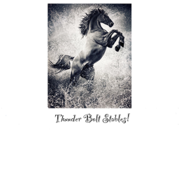 || ThunderBolt Stables ||'s Place Number: #
